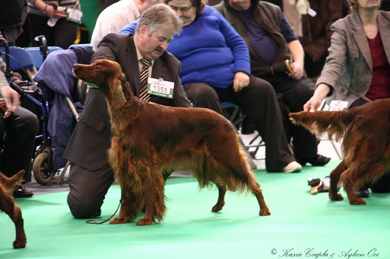 Crufts2011 624.jpg